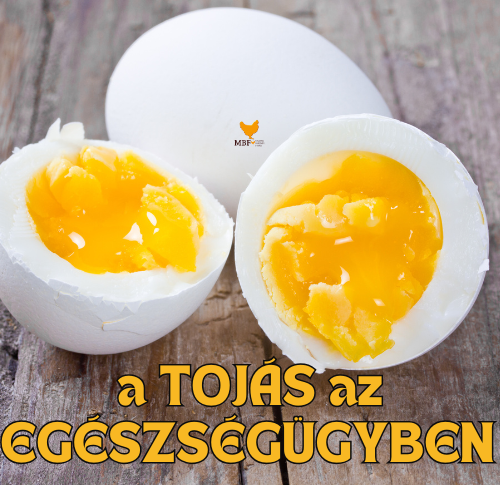 A tojás az egészségügyben
